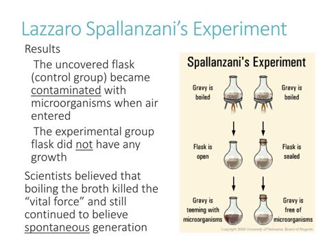 lazzaro spallanzani experiment|Iba pa.